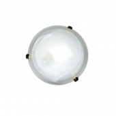 Потолочный светильник Arte Lamp Luna A3440PL-2CC