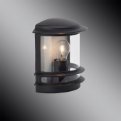 Уличный настенный светильник Brilliant Hollywood 47880/06