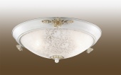 Потолочный светильник Odeon Light Bone 2692/3C