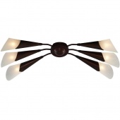 Потолочная люстра Arte Lamp Gothica A6415PL-6BR