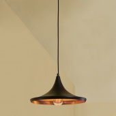 Подвесной светильник Citilux Эдисон CL450210
