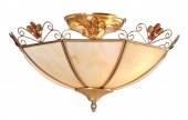 Потолочный светильник Arte Lamp Copperland A7862PL-2AB