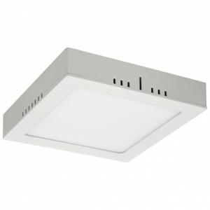 Накладной светодиодный светильник Elektrostandard DLS020 18W 4200K 4690389084584