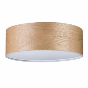 Потолочный светильник Paulmann Alva 79650