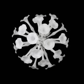 Бра Osgona Bardano 891656