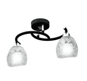 Потолочный светильник IDLamp Rosalba 381/2PF-Blackchrome