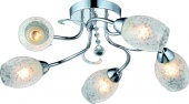 Потолочная люстра Arte Lamp Debora A6055PL-5CC