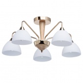Потолочная люстра MW-Light Николь 364014105