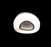 Потолочный светильник ST Luce Regen SL878.502.01