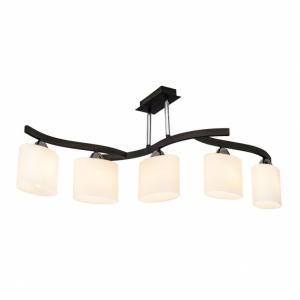 Потолочная люстра Silver Light Astoria 234.59.5