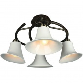 Потолочная люстра Omnilux OML-25507-04