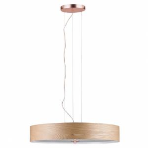 Подвесной светильник Paulmann Alva 79649