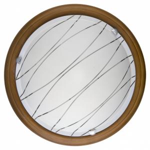 Настенно-потолочный светодиодный светильник Toplight Gabrielle TL9610Y-00OA
