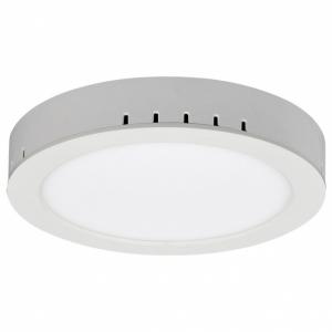 Накладной светодиодный светильник Elektrostandard DLR020 18W 4200K 4690389084560