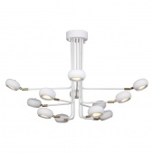 Подвесная светодиодная люстра Favourite Ellisse 1748-12U