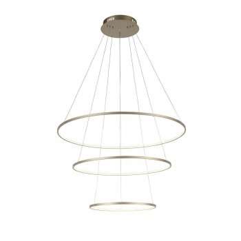Подвесная светодиодная люстра ST Luce Erto SL904.203.03