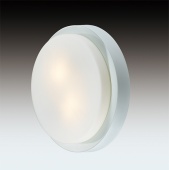 Настенный светильник Odeon Light Holger 2745/1C