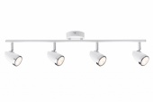 Спот Paulmann Root 60402