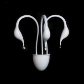 Бра Lightstar Cigno Collo Wt 751636