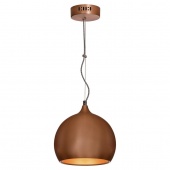 Подвесной светильник Lussole Loft LSN-6106-01