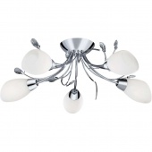 Потолочная люстра Arte Lamp Gardenia A2766PL-5CC