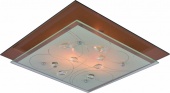 Потолочный светильник Arte Lamp A4042PL-2CC