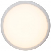 Потолочный светильник Brilliant Vigor G94141/05