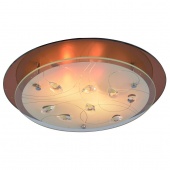 Потолочный светильник Arte Lamp A4043PL-3CC