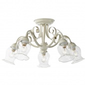 Потолочная люстра ST Luce Stelia SL145.502.05