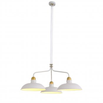 Подвесная люстра ST Luce Pietanza SL323.503.03