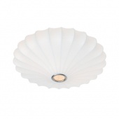 Потолочный светильник Arte Lamp Cocoon A6090PL-2WH
