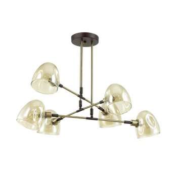 Подвесная люстра Lumion Noah 4434/6C