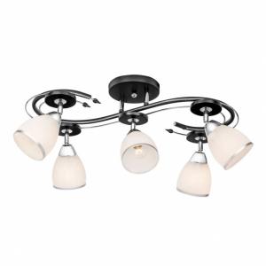Спот Silver Light Austerity 245.59.5