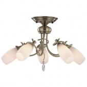 Потолочная люстра Odeon Light Kula 1426/5