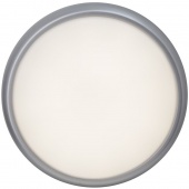 Потолочный светильник Brilliant Vigor G94131/11