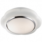 Потолочный светильник Odeon Light Baha 2403/1C
