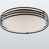 Потолочный светильник Favourite Moon 1516-4C