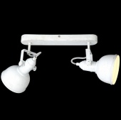 Спот Arte Lamp Martin A5213AP-2WG