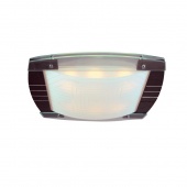 Настенный светильник Citilux Сага CL212325