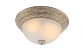 Потолочный светильник Arte Lamp Piatti A8013PL-2WA