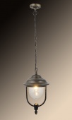 Уличный подвесной светильник Arte Lamp Barcelona A1485SO-1BN