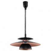 Подвесной светильник Eglo Brenda 31666