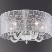 Потолочная люстра Odeon Light Danli 2536/5C