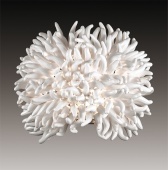 Настенный светильник Odeon Light Esma 2755/1W