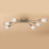 Потолочная люстра Citilux Мери CL524161