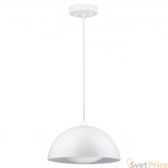 Подвесной светодиодный светильник Spot Light Ray 3050102