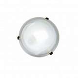 Потолочный светильник Arte Lamp Luna A3440PL-2CC