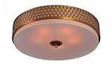 Потолочный светильник Divinare Biscotto 4005/01 PL-4