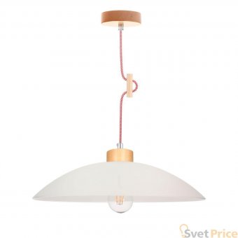 Подвесной светильник Spot Light Jona 1408560