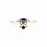 Потолочная люстра Arte Lamp Aqua A9502PL-3CC